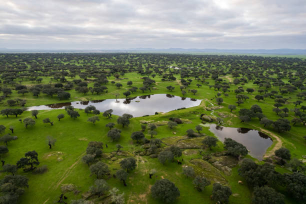 istock Landscape in Extremadura. 1465266879