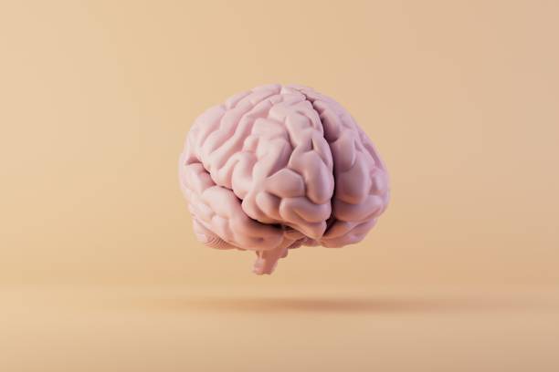istock the concept of idea generation. brain on a pastel background. 3D render 1465268121