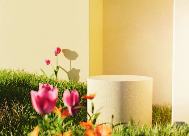 istock tulip garden podium 1465269357