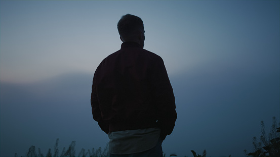 Relaxed man enjoying sunrise in field. Calm guy looking mountain landscape in morning mist. Back view male hipster standing in meadow. Young man spending time outdoors alone. Natural serenity scene