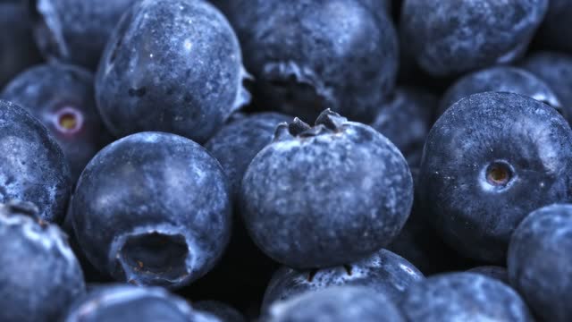 blueberry billberry fresh fruit natural 4K slide footage