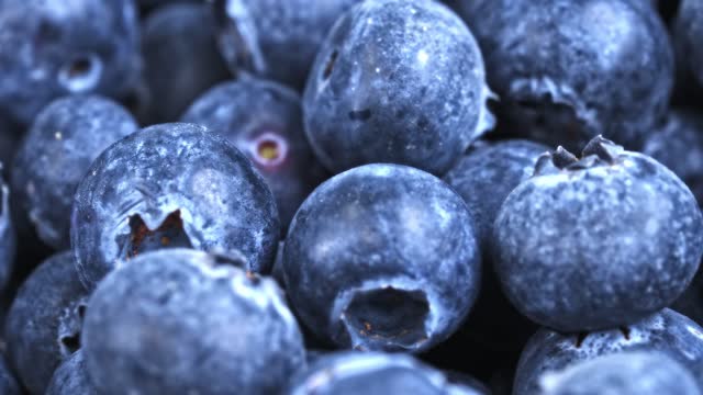 blueberry billberry fresh fruit natural 4K slide footage
