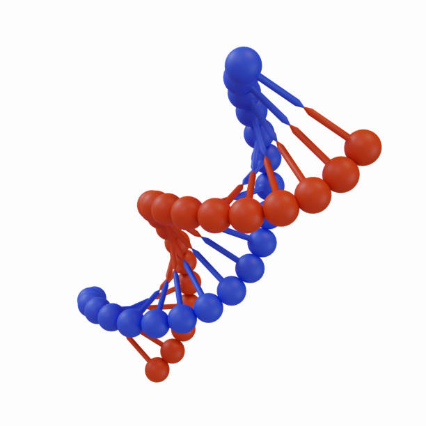 3d render illustration of DNA genetic spiral in blue and red colors stock photo