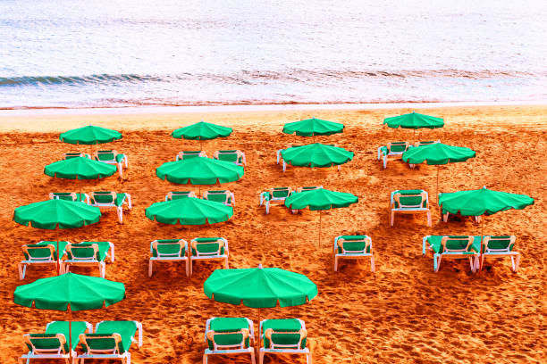 Golden sand beach with umbrellas . Green beach umbrellas and chaise longue . Sandy sea coast