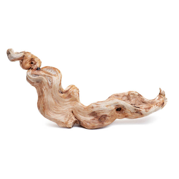 driftwood on a white background. beautiful age wood - drijfhout stockfoto's en -beelden