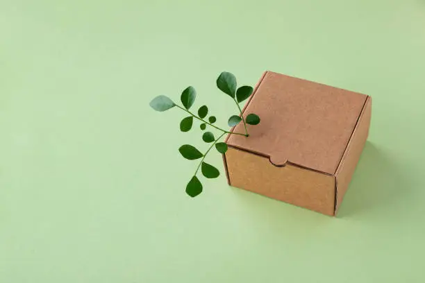 Cardbox from recyclable organic materials with green leaves sprout. Eco friendly packaging, zero waste and plastic free minimal concept.