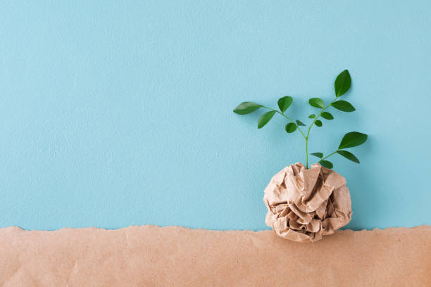 Sprout of small tree with green leaves growing from recycled craft paper top view. Eco, saving energy, zero waste, plastic free and environment conservation concept. stock photo