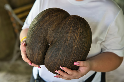 Young woman holding the coco de mer nut in garden