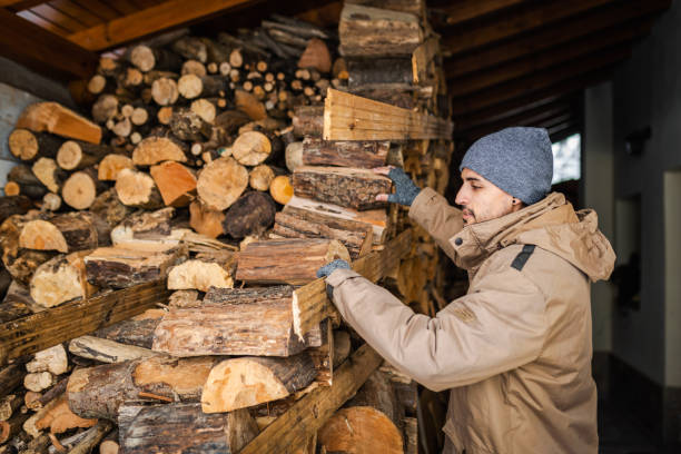 istock Young man picking up firewood for his stove. 1465294252