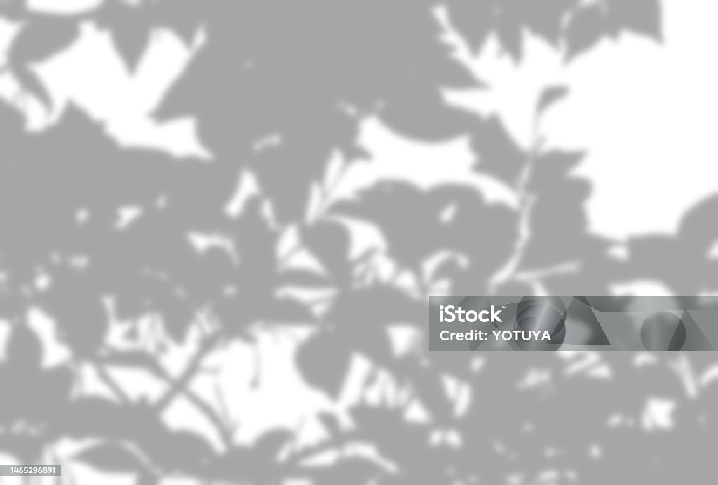 Tree Shadow Background Sharp Beautiful Tree Shadow Background Illustration Stock Illustration ...