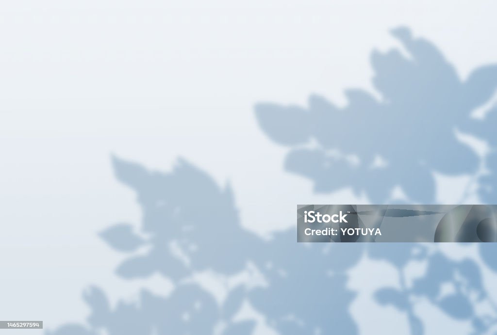 Tree Shadow Background Sharp Beautiful Tree Shadow Background Illustration Stock Illustration ...