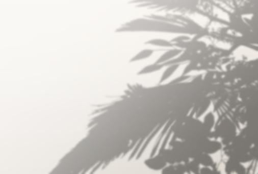 Tree Shadow Background Sharp Beautiful Tree Shadow Background Illustration Stock Illustration ...