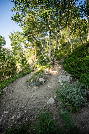 Switchback Along Trail to Bierstadt Lake in Rocky Mountain National Park