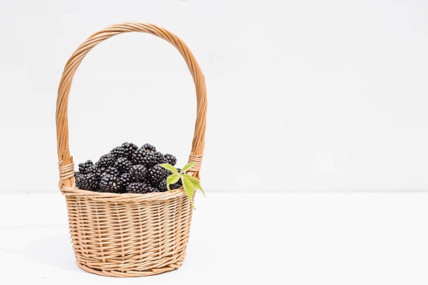 A small wicker basket with fresh blackberries on a white wooden isolated background. A beautiful, healthy ripe summer berry.