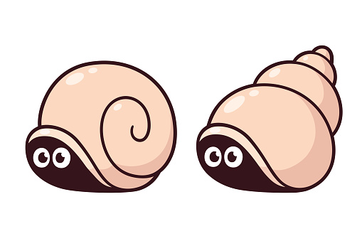 Two cute cartoon snails hiding in their shells with scared eyes. Vector clip art illustration.