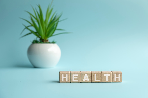 Health word on wooden cube block with green potted plants in background