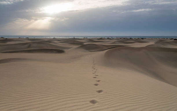 istock Maspalomas Dunes Nature Reserve, Maspalomas, Las Palmas, Gran Canaria 1465317565