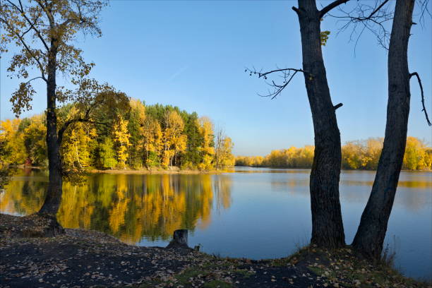 istock Autumn calm on a sunny day 1465318362