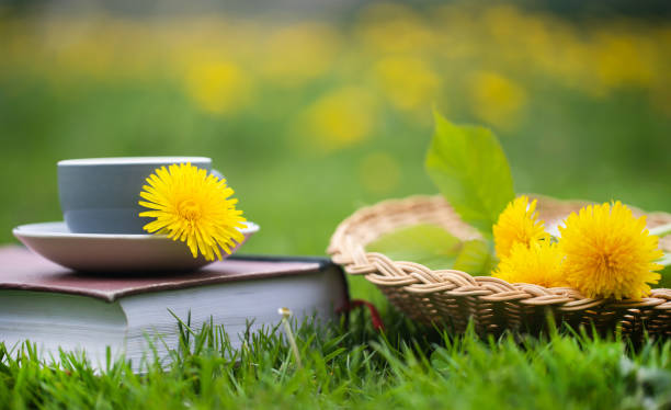 Herbal Dandelion tea in flower garden with book