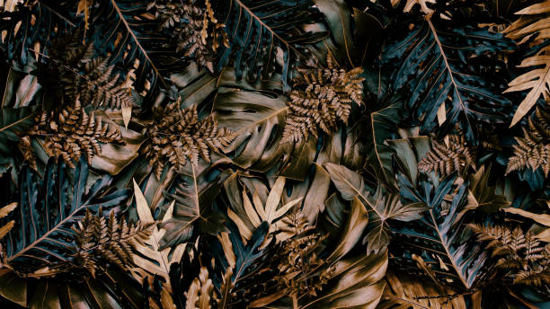 istock tropical leaf background, luxury color toned 1465319290