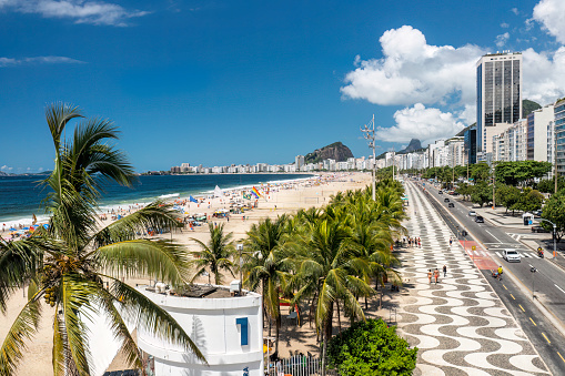 Copacabana Beach behind the palm trees by the street. Summer view with blue sky, Rio de Janeiro, Brazil