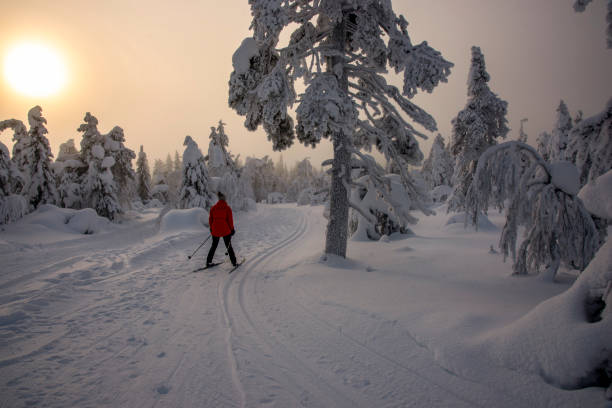istock Woman cross country skiing 1465320545