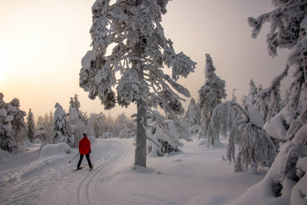 istock Woman cross country skiing 1465320677