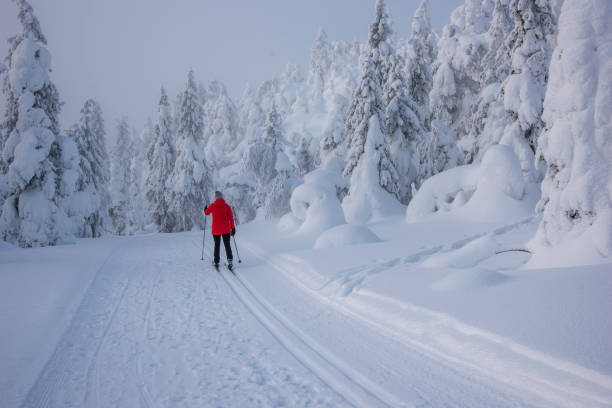 istock Woman cross country skiing 1465320679
