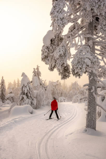 istock Woman cross country skiing 1465320839