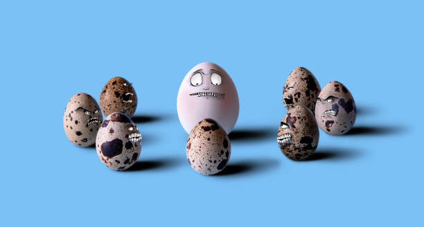 istock White frightened chicken egg surrounded by angry quail eggs on a blue background. selective focus 1465326213