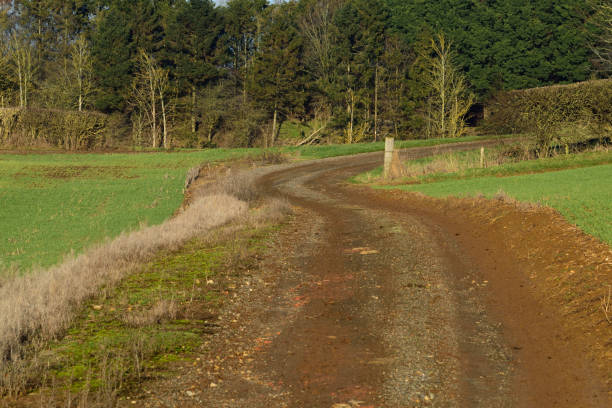 istock A farm track through fields in the English countryside 1465327622