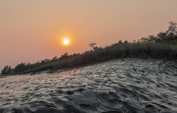 Sunset in Sundarbans National Park.this photo was taken from sundarbans,Bangladesh.