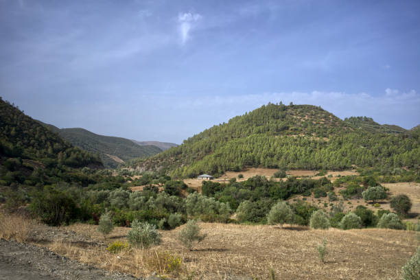 Road trip in Morocco
