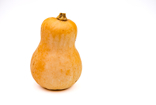 A yellow striped organic butternut squash isolated with focus stacking against white in the studio