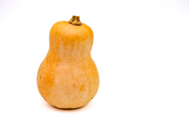 A single yellow-striped, locally grown pear squash for a healthy diet cropped as a studio shot stock photo