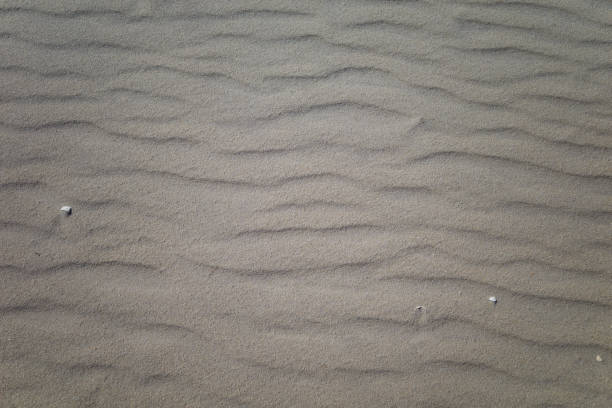istock Black and White Ripples in Beach Sand Background 1465336440