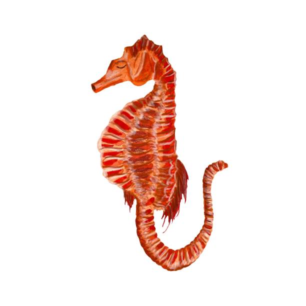 istock Sea horse ocean organism a watercolor illustration 1465336568