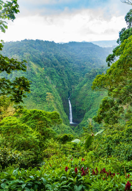 waterfalls in the Costa Rican rainforest