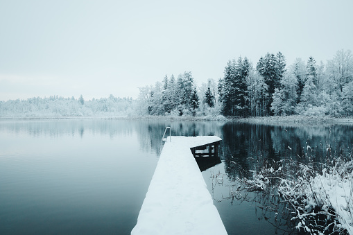 A dreamlike winter landscape at the Easter Lakes in Bavaria, Germany. The series consists of shot from the forest, with lakes, forest paths, boardwalks, detail shots and other great scenic nature motifs.