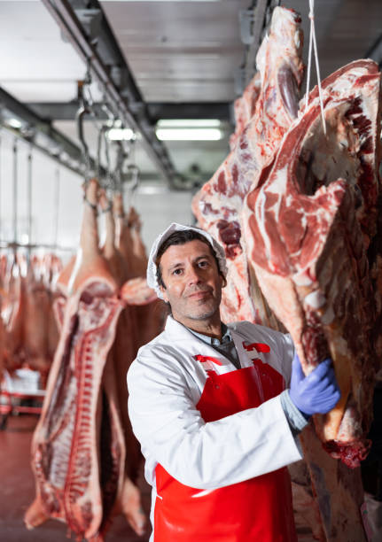 istock Butcher hanging raw beef carcasses in chilling room 1465343040