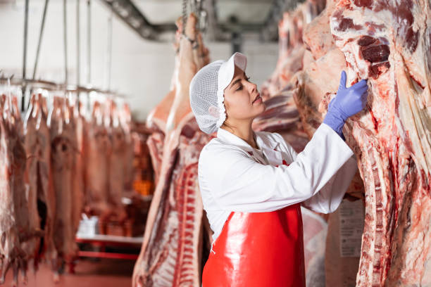 istock Female butcher showing beef chunk in meat storage 1465343066