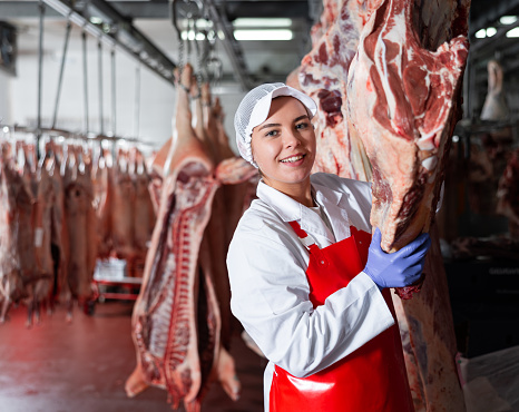 Positive young female butcher working in chilling room of meat processing factory, arranging raw beef carcasses hanging on hooks for storage