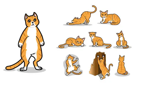 Vector illustration of Vector set of orange cat