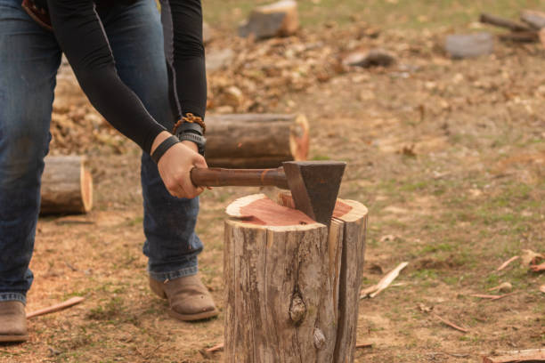 istock young man chopping wood 1465343988