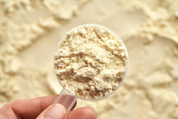 istock Whey protein powder in a measuring cup held by a hand 1465347974