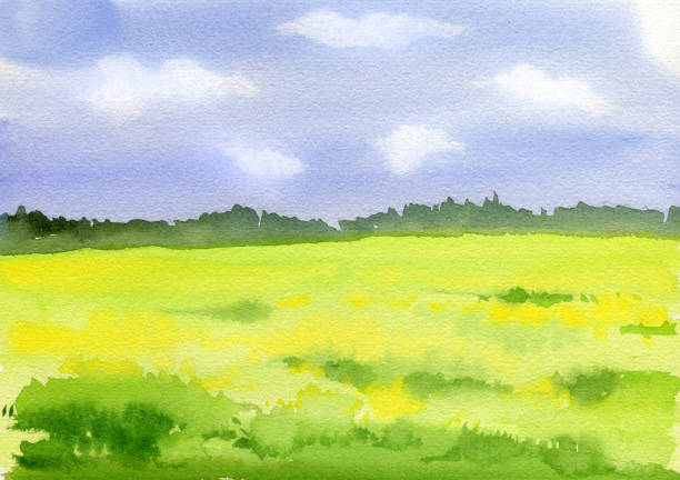 istock Watercolor landscape, summer field, blue sky with clouds, hand-drawn sketch, illustration 1465353446