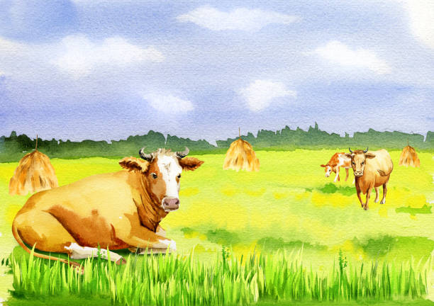 istock Watercolor landscape with cows and haystacks, summer field, blue sky with clouds, hand-drawn sketch, illustration 1465353470