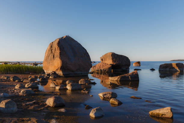 steiniges ufer der ostsee bei sonnenuntergang - finnischer meerbusen stock-fotos und bilder