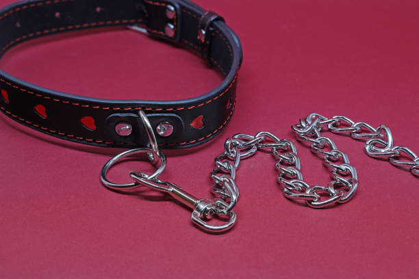 black leather collar with chain - huid\sdier halsband stockfoto's en -beelden