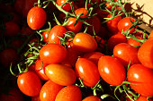 cherry fresh tomatoes